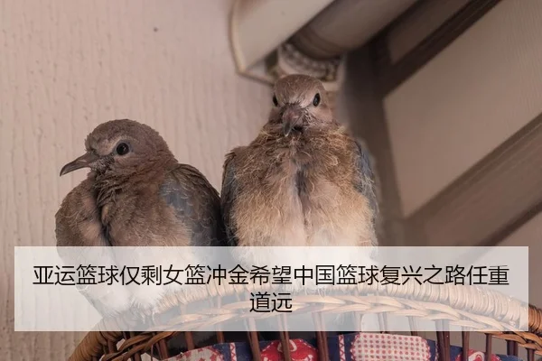 亚运篮球仅剩女篮冲金希望中国篮球复兴之路任重道远 | ZOTYSPORTS
